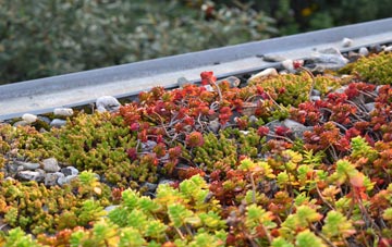 the cost of Mwdwl Eithin green roof installation