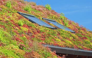 Mwdwl Eithin living roof systems