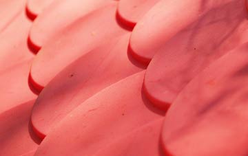 Mwdwl Eithin plastic roof costs